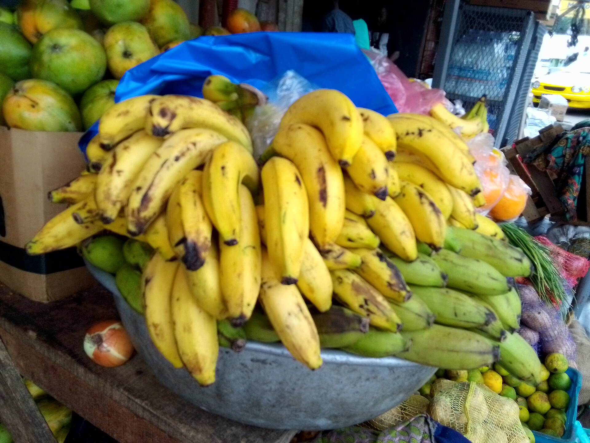 Marché dominical de Malo-les-Bains